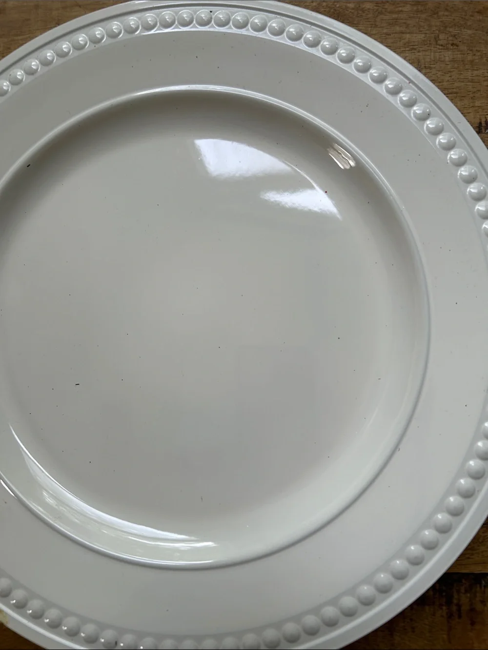 Pier 1 Cream Ceramic Dinner Plate with Beaded Rim